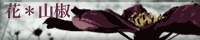 �͂Ƃ�l